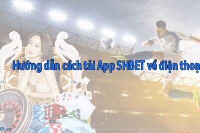 App Shbet có đăng nhập được cả trên điện thoại và máy tính không?