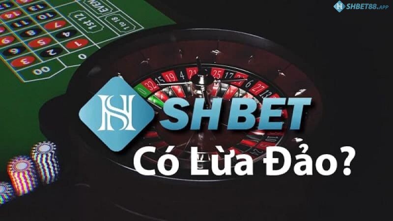 Shbet lừa đảo có phải là sự thật không?