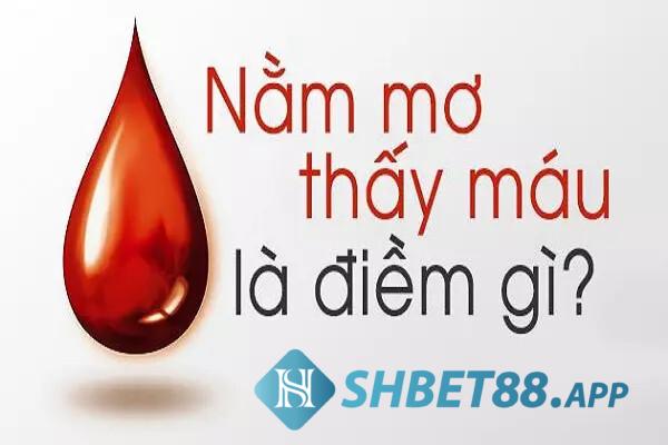 Nằm mơ thấy máu có điềm báo gì?