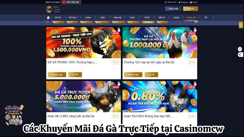 Các Khuyến Mãi Đá Gà Trực Tiếp tại casinomcw