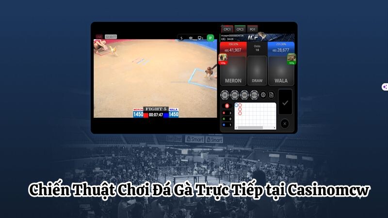 Chiến Thuật Chơi Đá Gà Trực Tiếp tại casinomcw