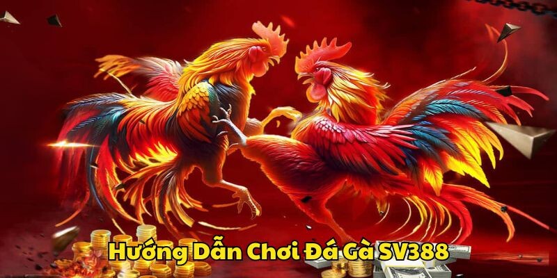 Hướng dẫn tham gia cược đá gà tại nhà cái SV388